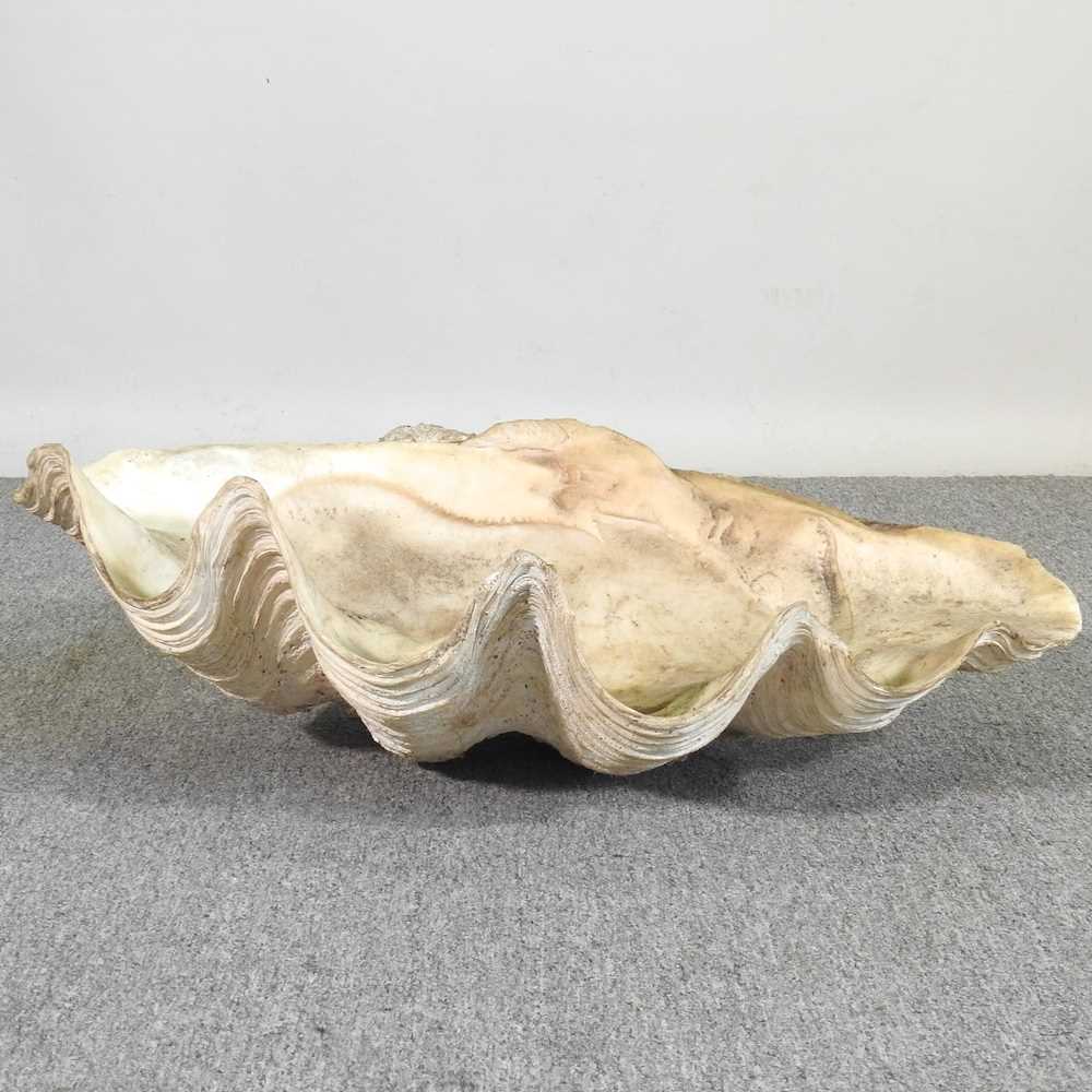 Lot 34 - A large clam shell, Tridacna gigas, half shell,...