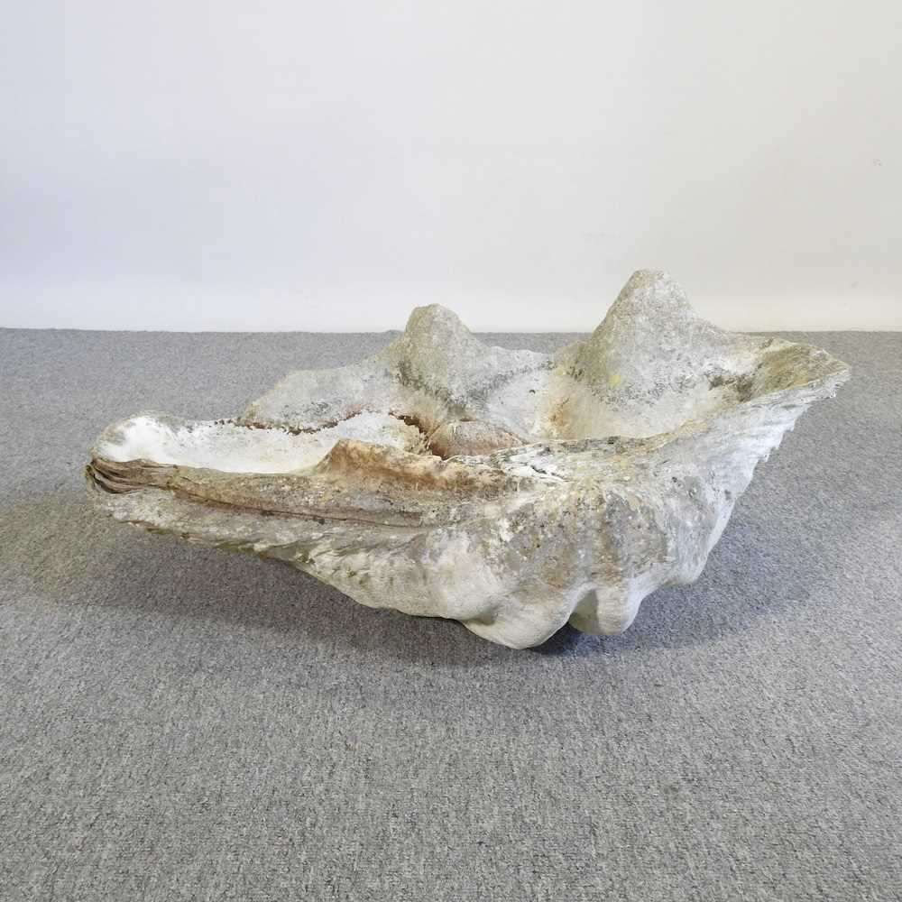 Lot 7 - A large clam shell, Tridacna gigas, half shell,...