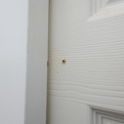 Lot 26 - A collection of white painted interior doors
