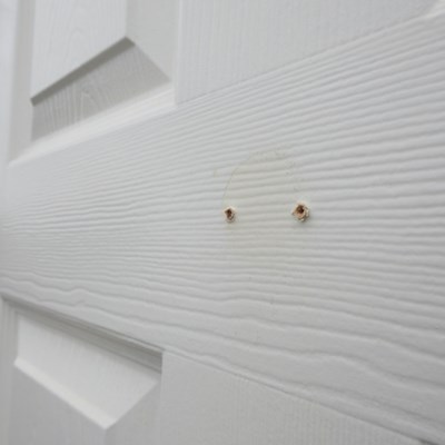 Lot 26 - A collection of white painted interior doors