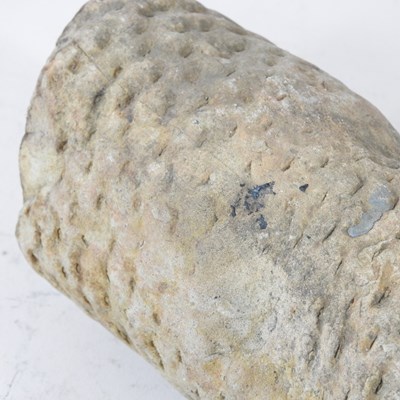 Lot 20 - A large fossil, probably stigmaria, or tree...