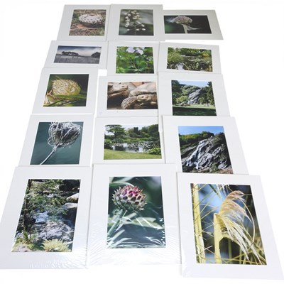 Lot 385 - A collection of photographs, mounted and unframed