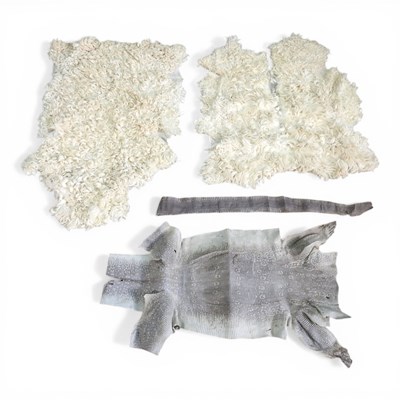 Lot 269 - A reptile skin, together with a snake skin, a...