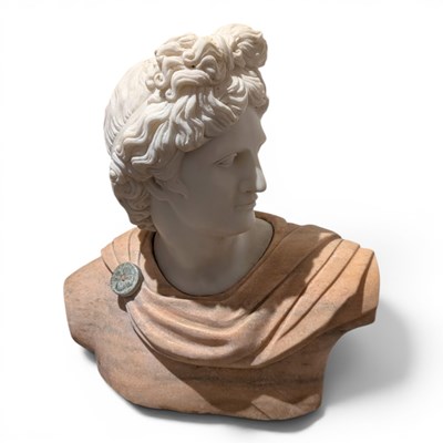 Lot 106 - A large carved marble bust of Apollo Belvedere,...