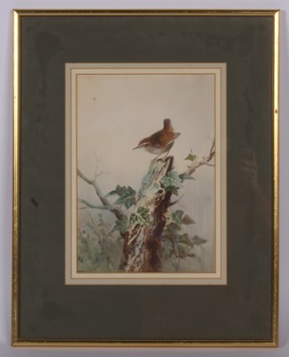 Lot 404 - Roland Green (1890-1972), Wren, watercolour,...
