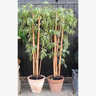 Lot 135 - Two terracotta garden pots, 40cm high, each...
